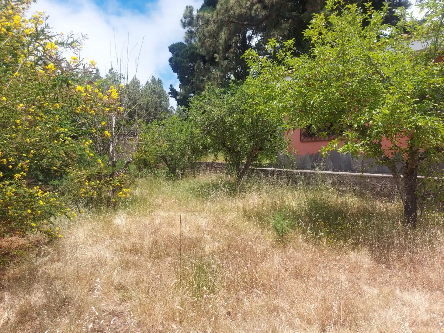 Country homes for sale in El Sauzal  with Heating, Private garden and Terrace