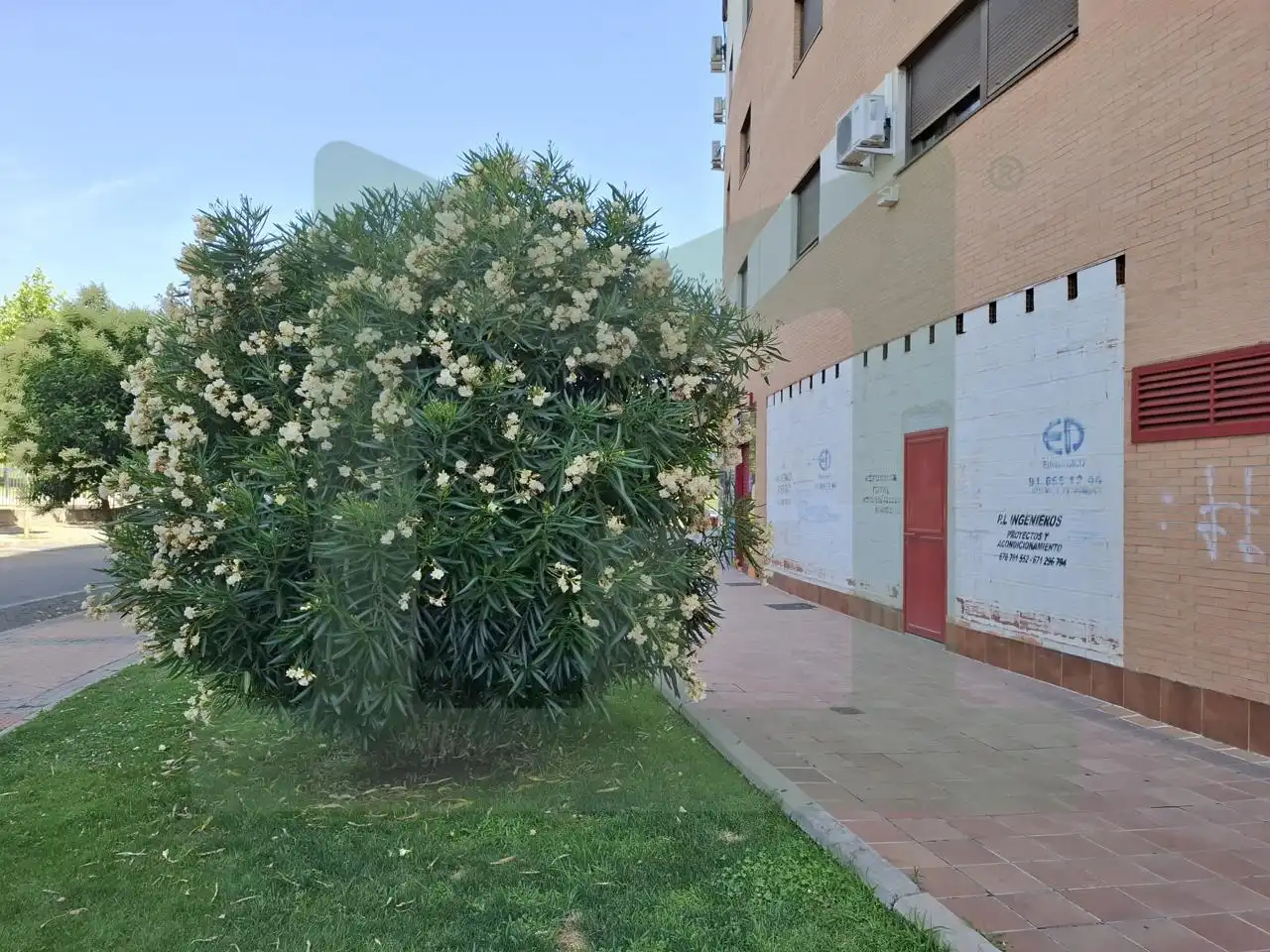 Exterior view of Commercial properties for rent in Parla