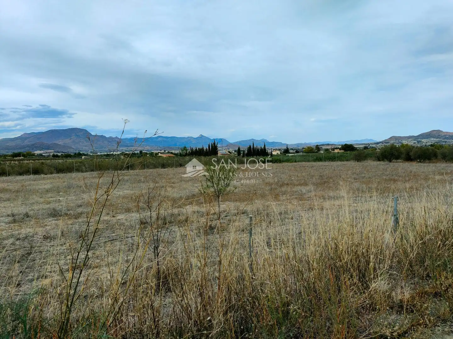 Houses for sale in Aspe