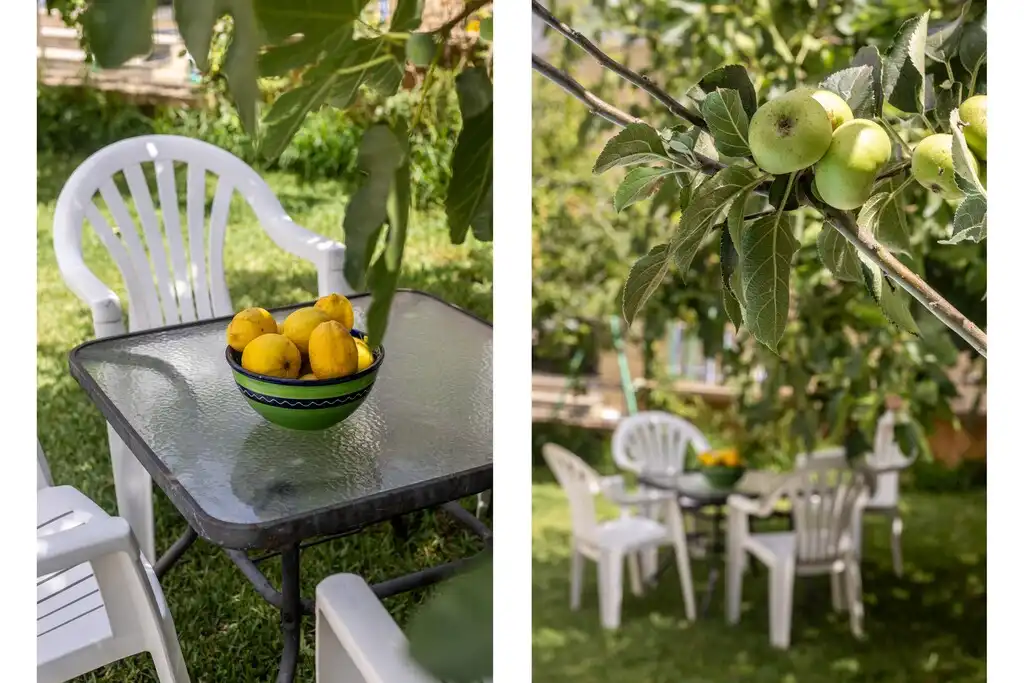 Jardí de Casa o xalet en venda en Alcúdia amb Jardí privat, Terrassa i Piscina