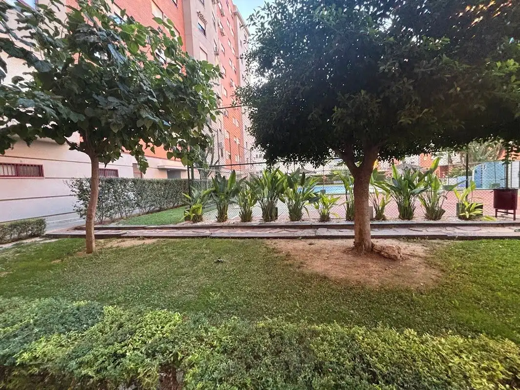 Pis amb terrassa en venda a Playa de San Juan - El Cabo de las Huertas, imagen 28