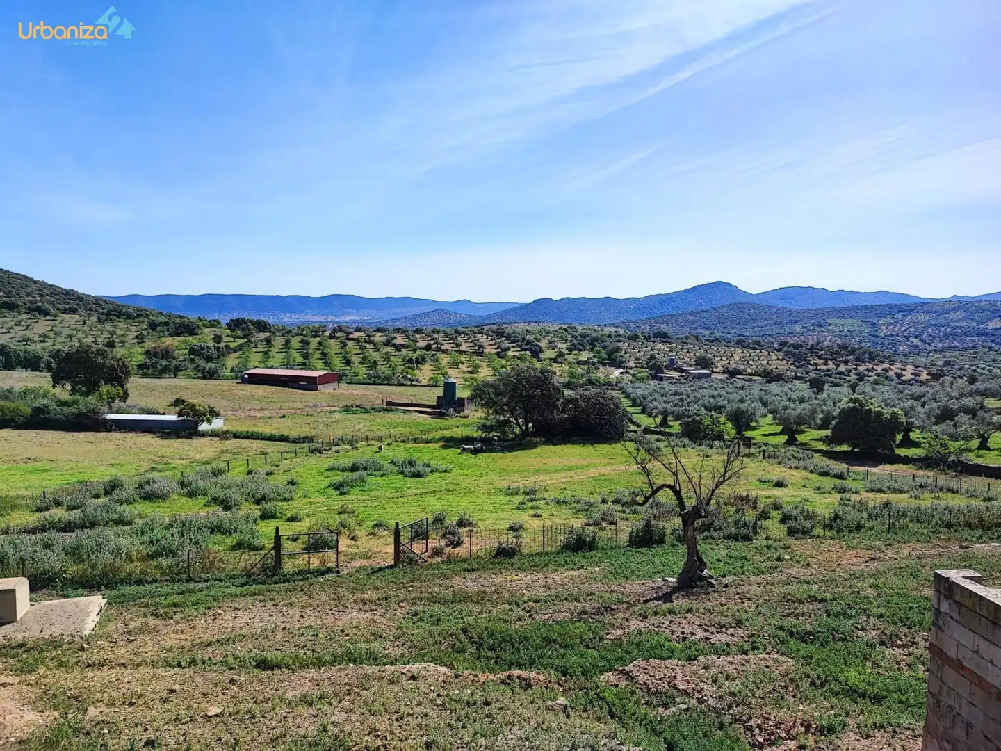 Land for sale in Salvaleón