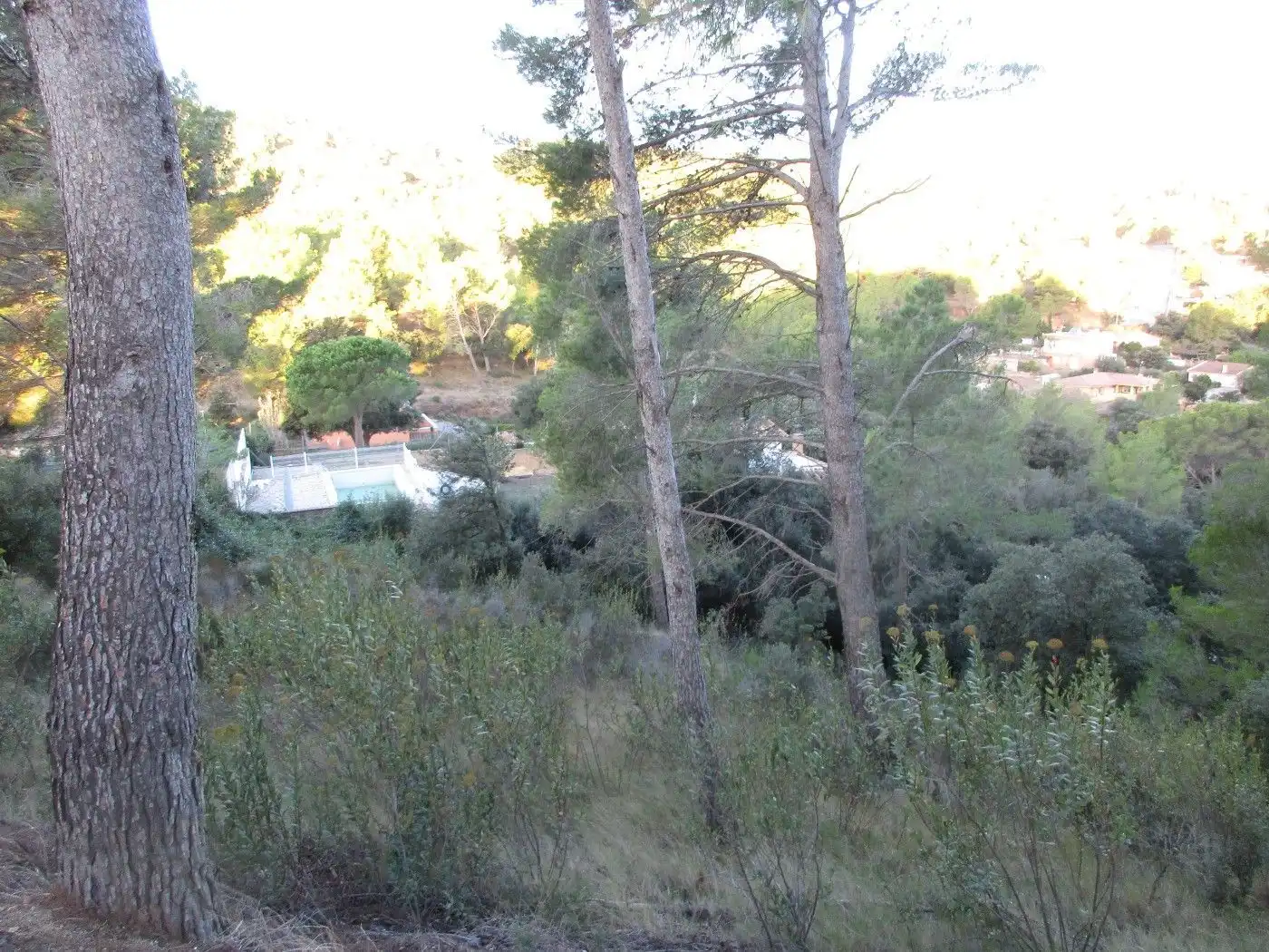 Terreno residenziale in vendita a Carrer dels Molins 65, imagen 16