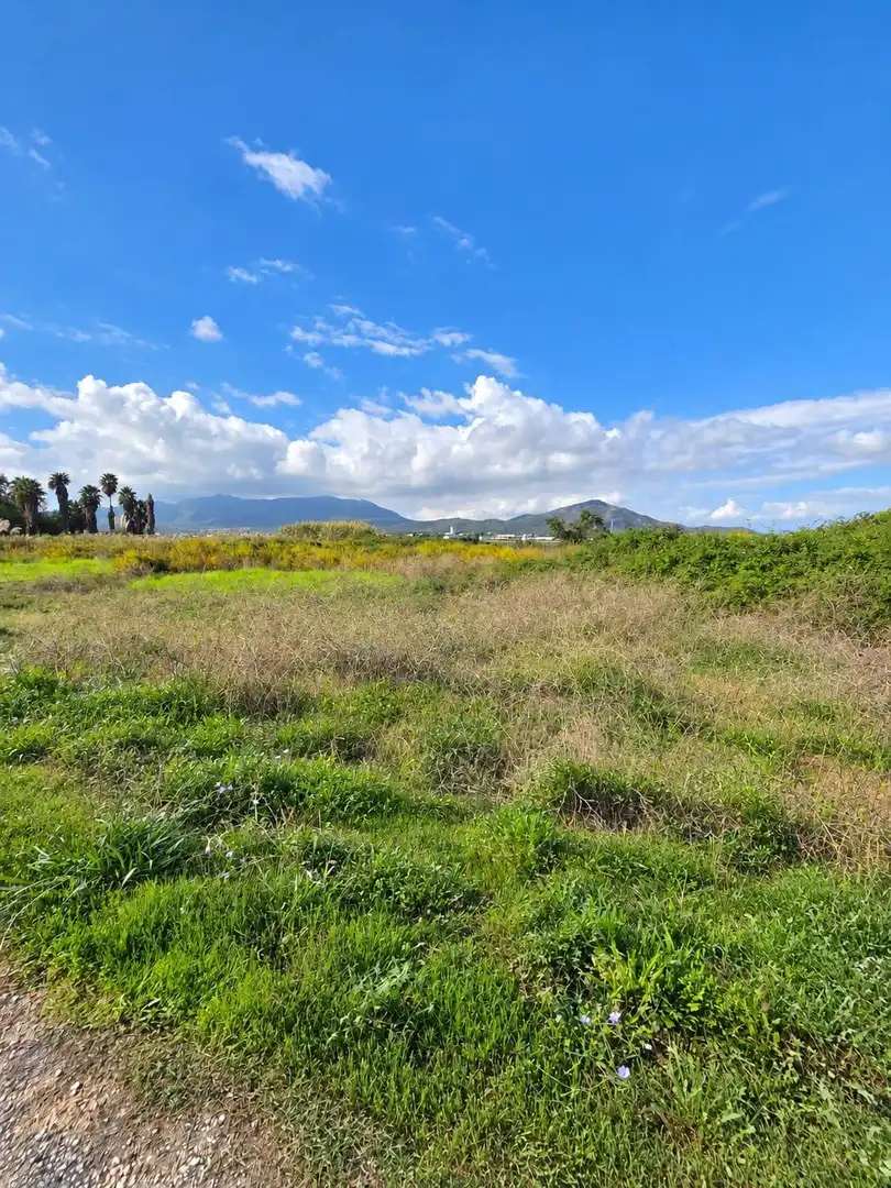 Rural land for sale in Polígono Sèquia de la Figuerola Dreta, imagen 5