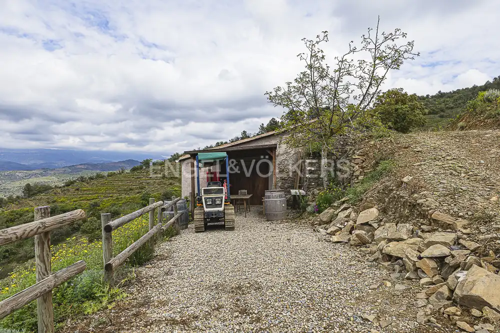 Residential land for sale in La Pobla de Claramunt, imagen 13