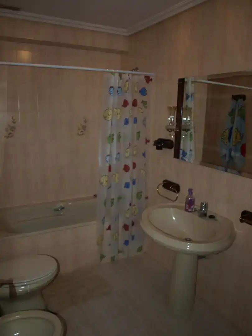 Bathroom of Houses for rent in Simancas  with Private garden, Storage room and Furnished