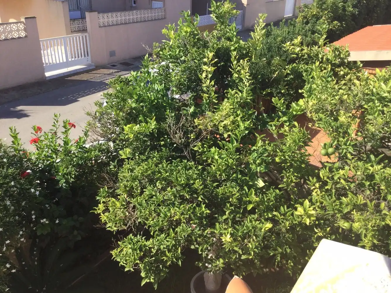 Villa avec jardin à vendre à Mar Menor de Cartagena – Cabo de Palos, imagen 8