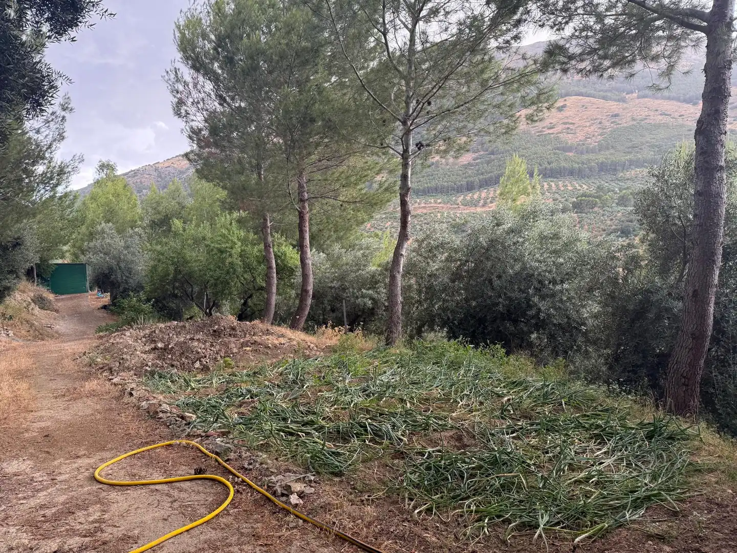 Country house zum Verkauf in Jaén mit Privatgarten, Terrasse und Schwimmbad
