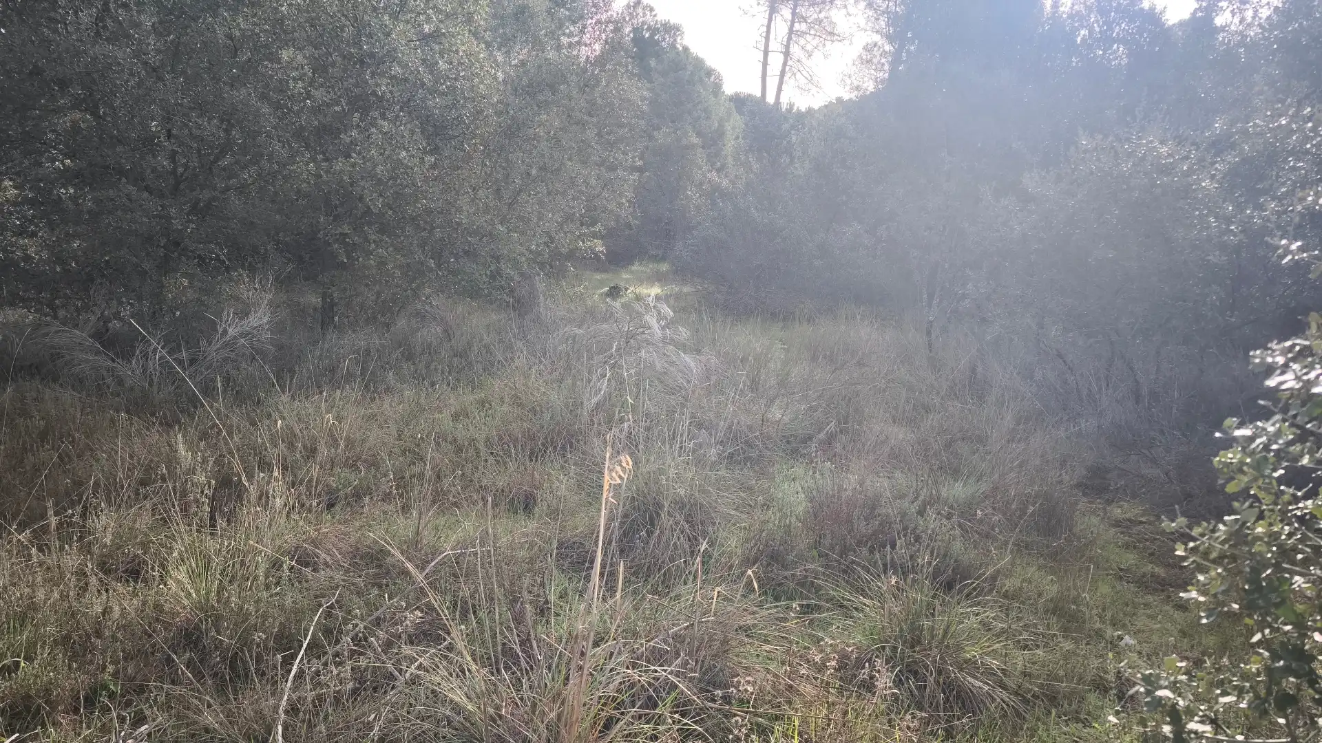 Terreni e lotti in vendita a Santa María del Tiétar, imagen 4