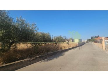 Terreno residenziale in vendita a Casco Urbano