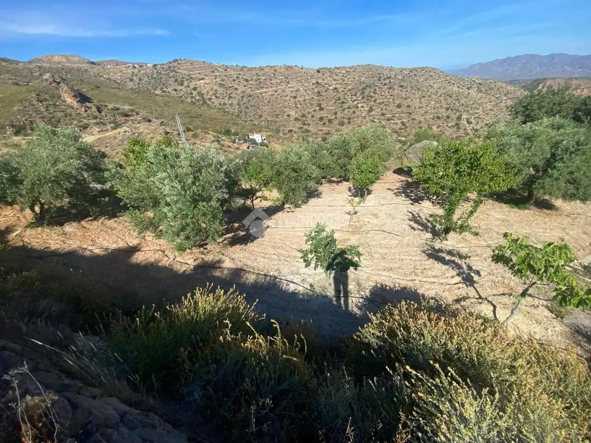 Finca rústica en venda en Bédar amb Aire condicionat, Jardí privat i Moblat