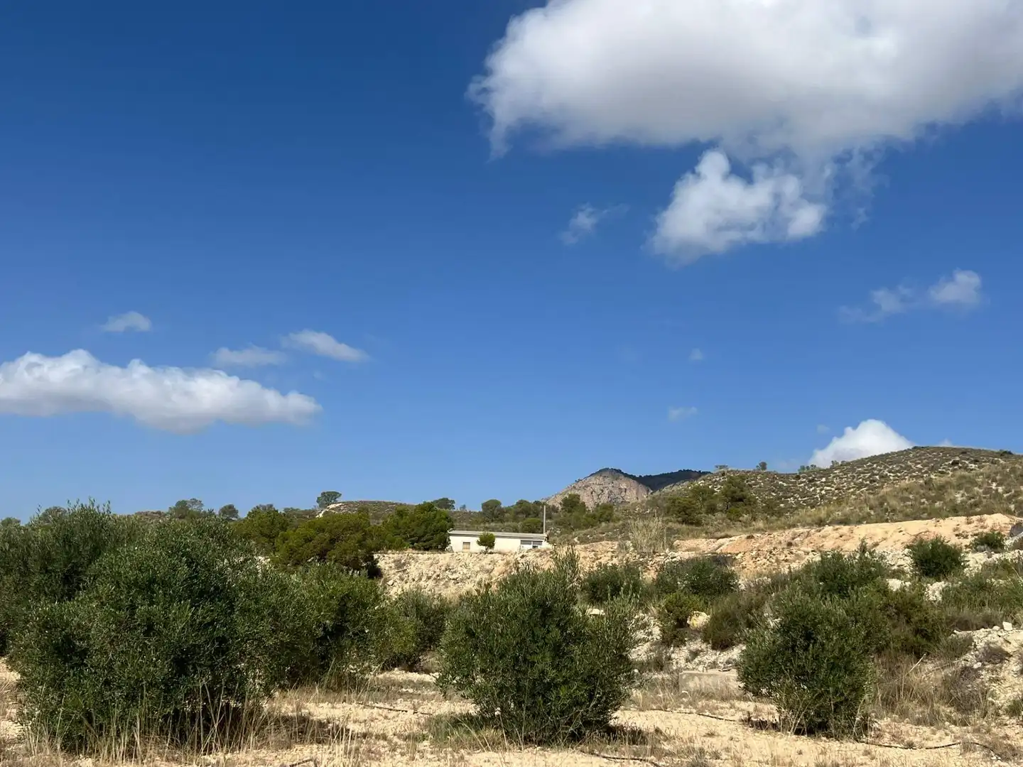 Casa rústica amb jardí en venda a cañada de la leña, imagen 19