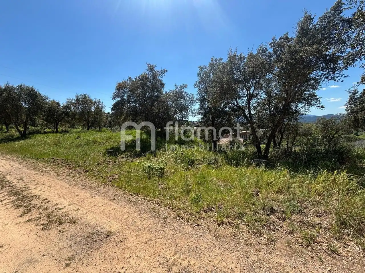Terrenos y solares en venta en Carrer de Can Badia Vell, imagen 2
