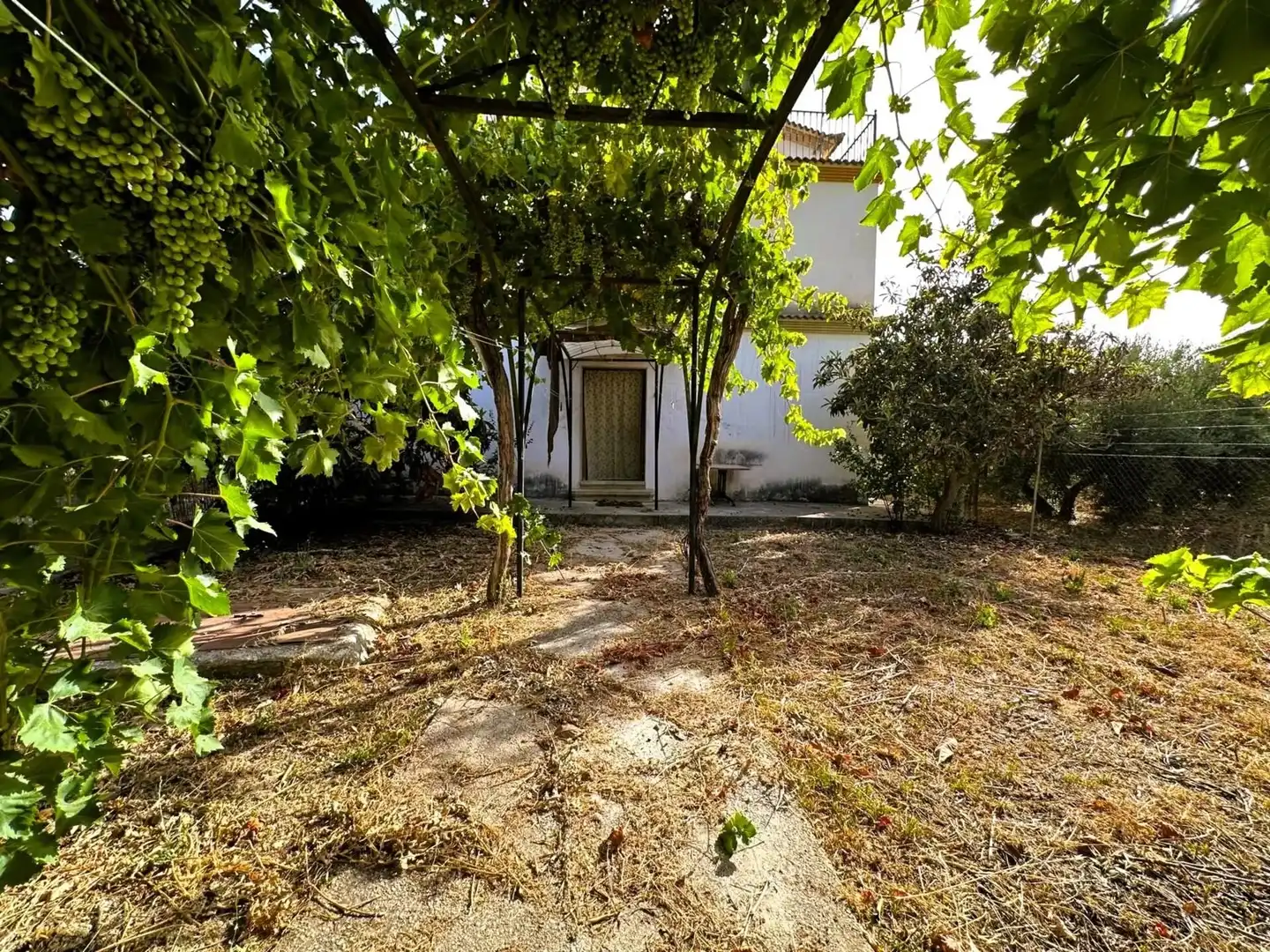 Casa con jardín en venta en Algarinejo, imagen 54