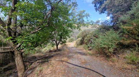 Foto 5 de Terreno en venta en Paterna del Río, Almería
