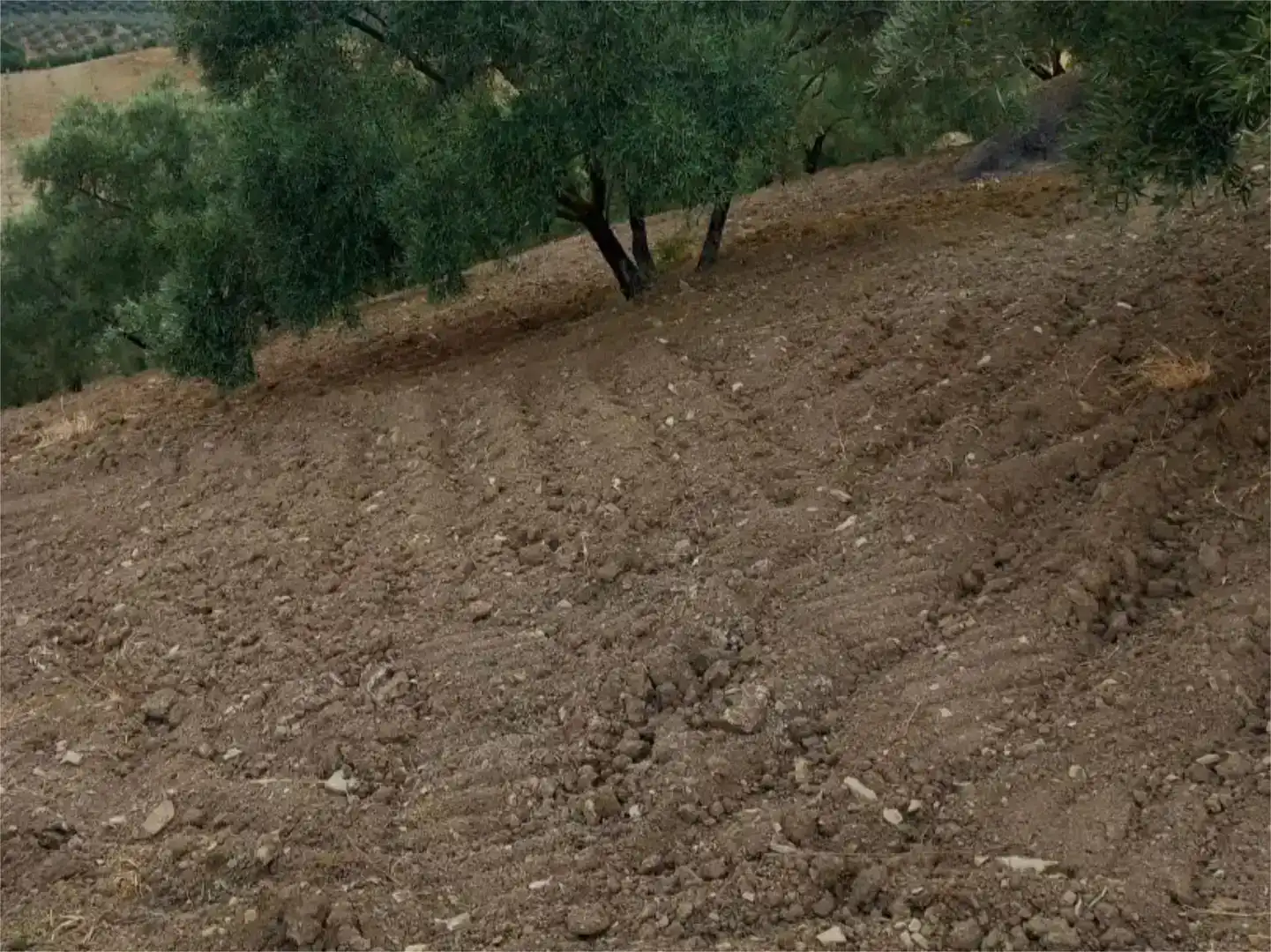 Pis en venda en Almogía, Málaga