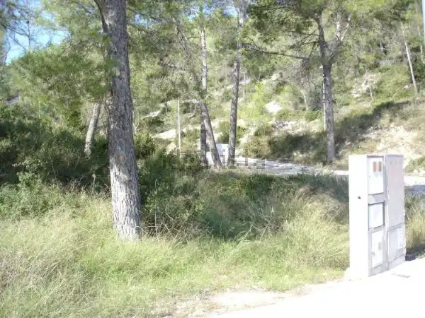 Terreno residenziale in vendita a Can Lloses - Can Marcer, imagen 5