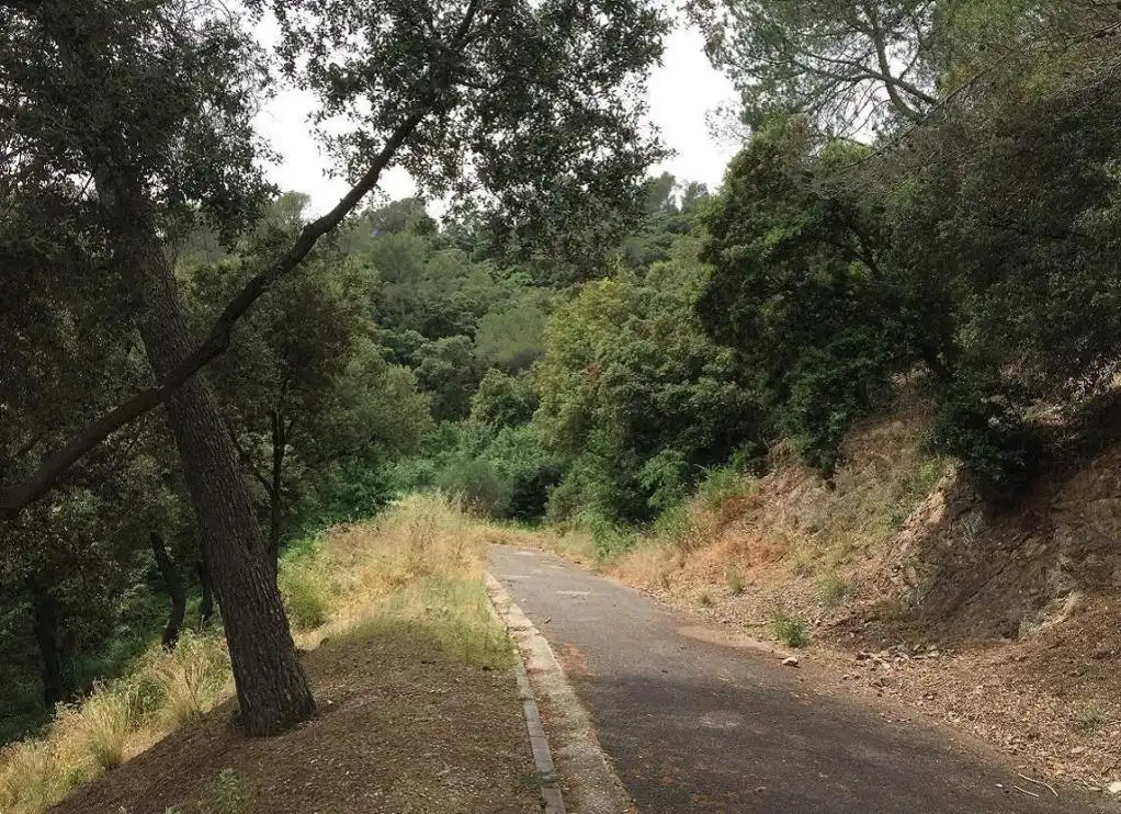 Terreny rústic en venda a LLICORELLA (DE LA), imagen 7