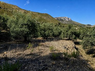 Terreny rústic en venda a L'Atzúbia