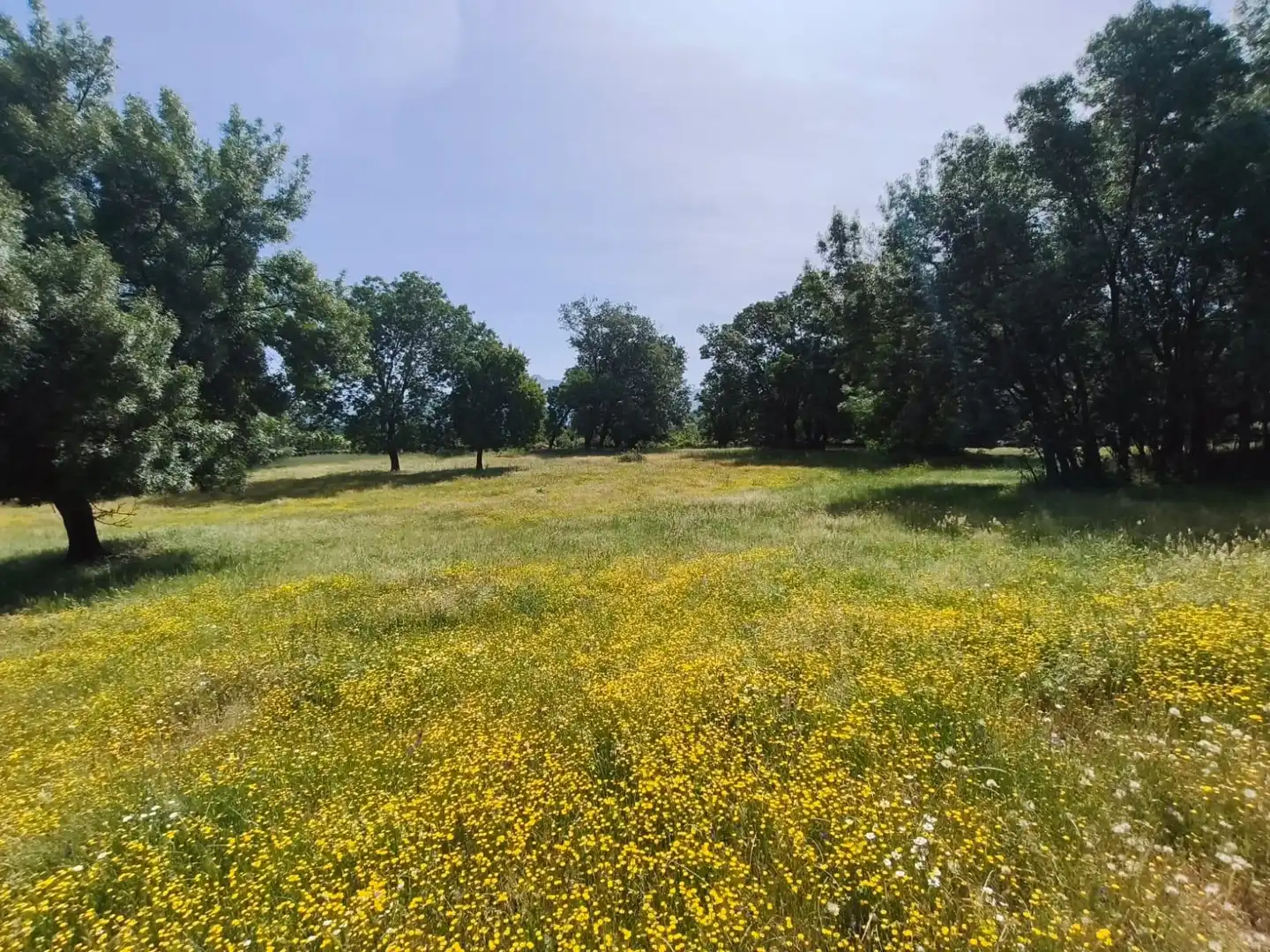 Residential for sale in Hervás
