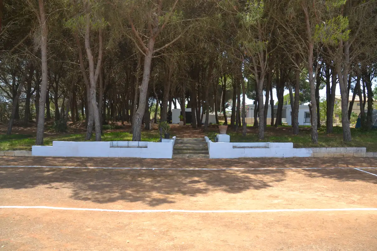 Garden of Country homes for sale in Chiclana de la Frontera