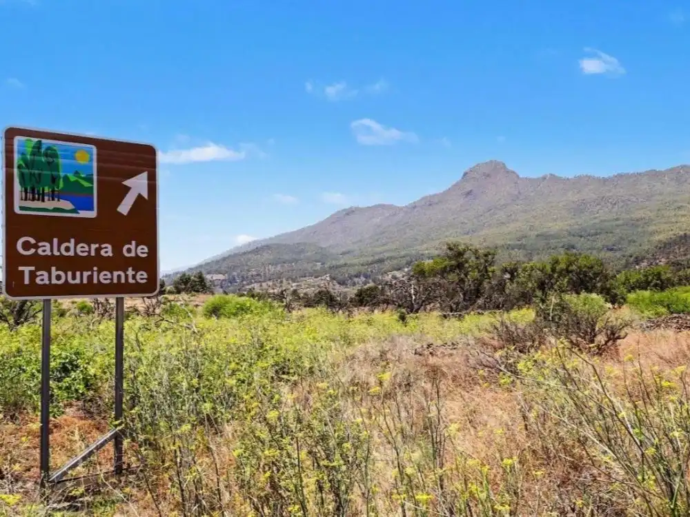 Exterior view of Flat for sale in El Paso, Santa Cruz de Tenerife