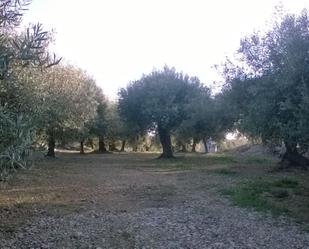 Finca rústica en venda en Amposta