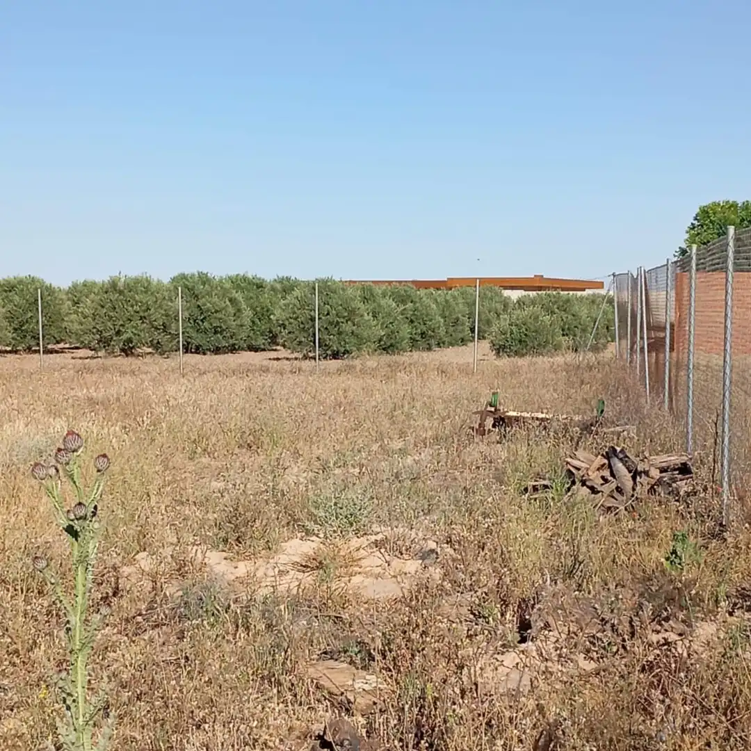 Terreny rústic en venda a Camino del Cuadrado 50, imagen 13