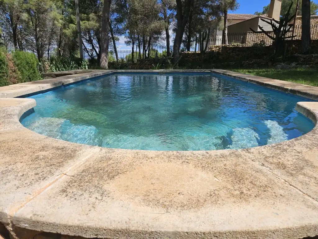 Piscina de Casa o chalet en venta en Alberic con Jardín privado, Terraza y Piscina