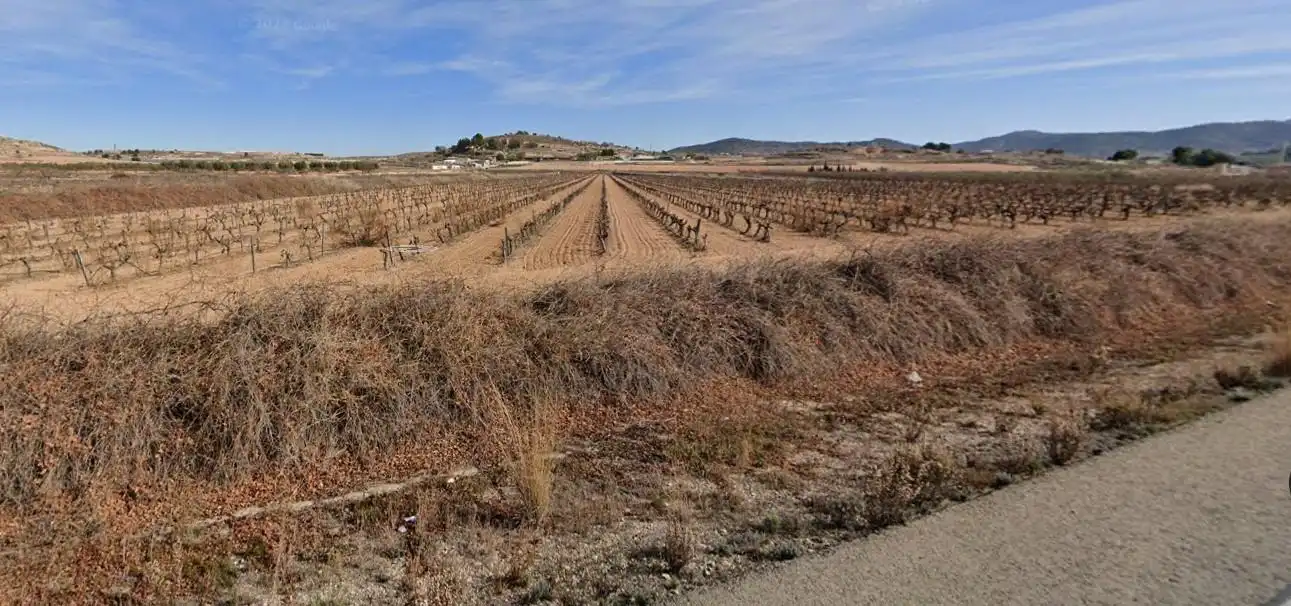 Terreno rústico en venta en El Pinós / Pinoso, imagen 2