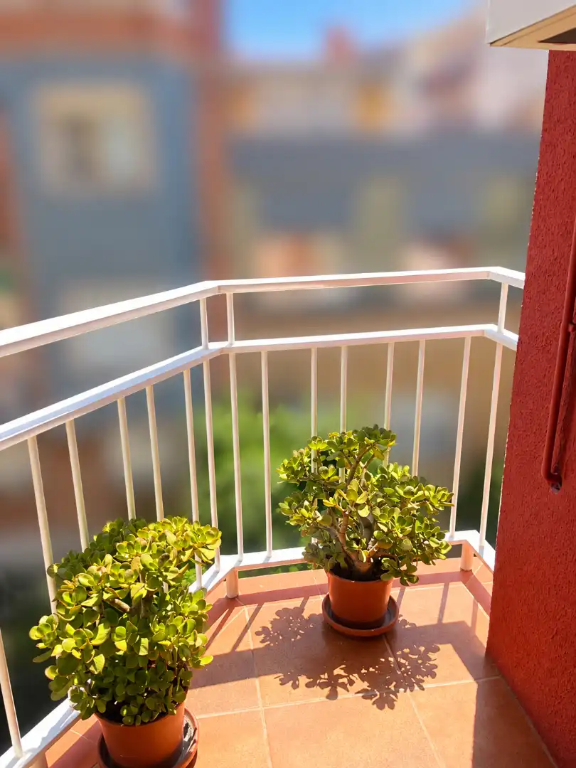 Appartamento con terrazza in vendita a Nou Barris, imagen 3