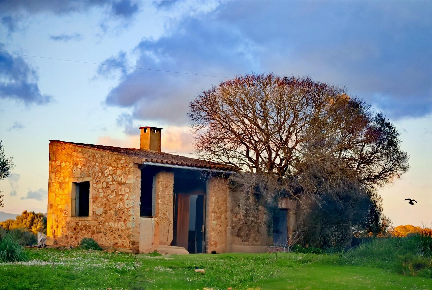 Vista exterior de Finca rústica en venta en Costitx