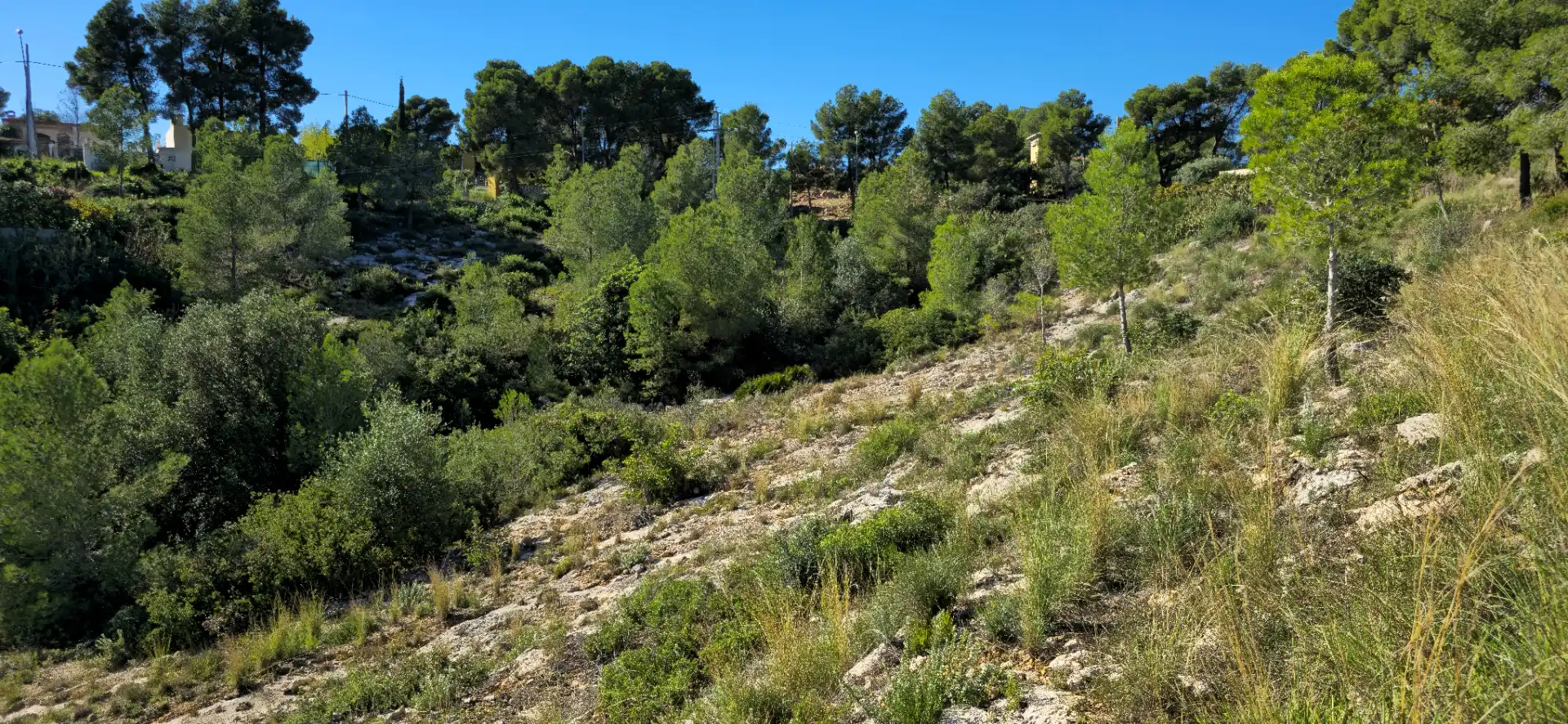 Wohnbaugrundstück zum Verkauf in Calle C/2 Lloma Molina 31, imagen 45