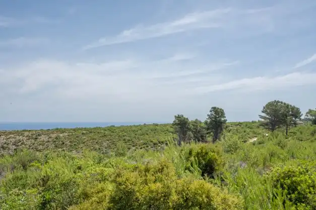 Residential land for sale in Centro ciudad