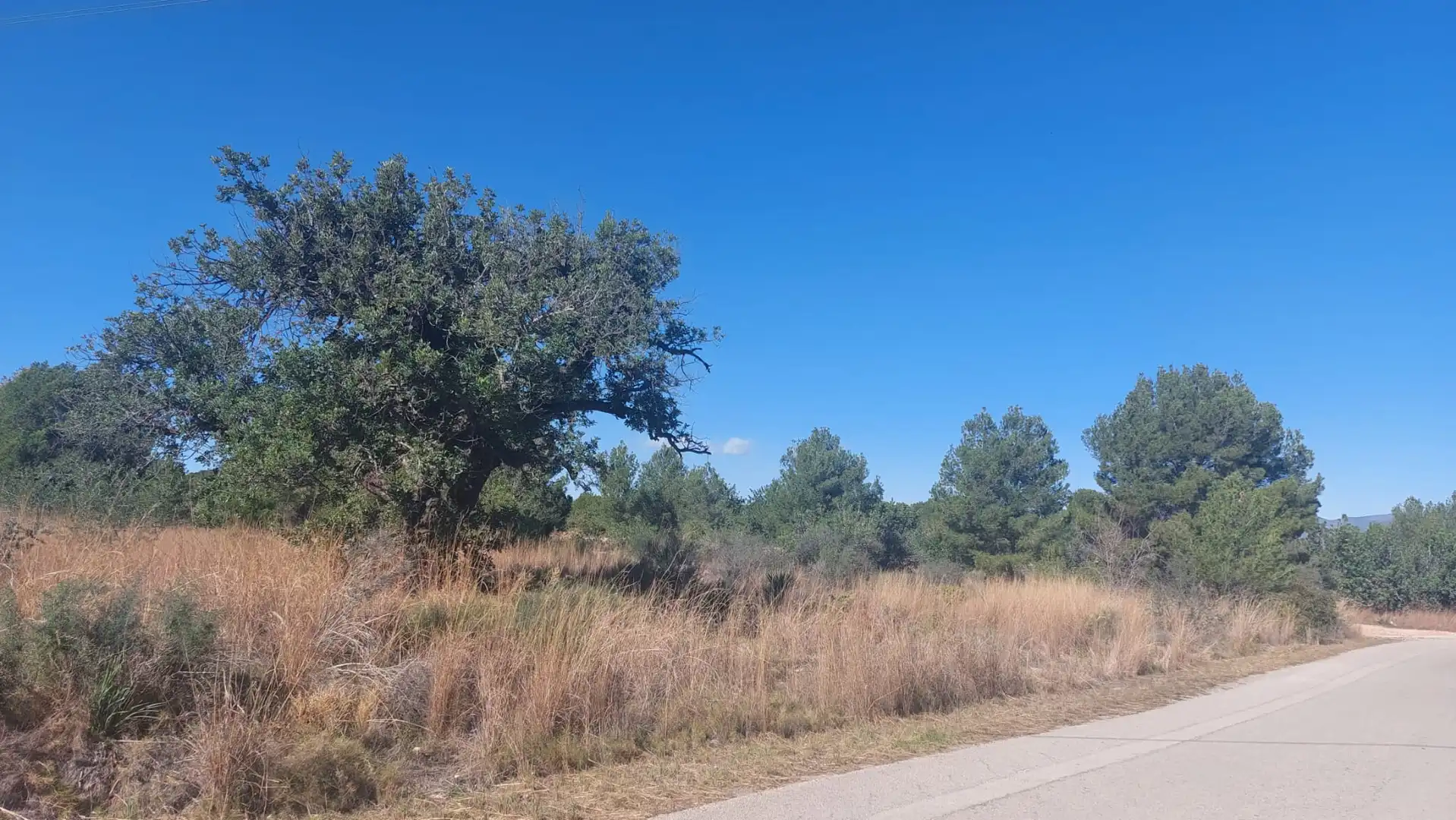 Terrain rustique à vendre à Camí de Paterna - Lloma del Calderer