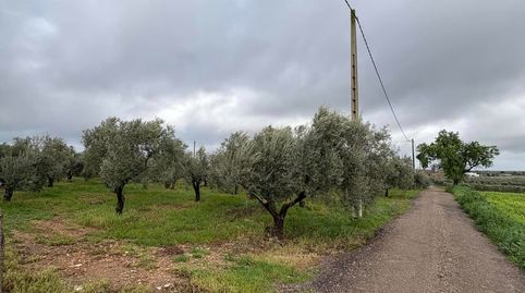 EXCLUSIVIDAD...!!! 1446- SE VENDE PARCELA RUSTICA ZONA CERRO PEREA...!!!!
