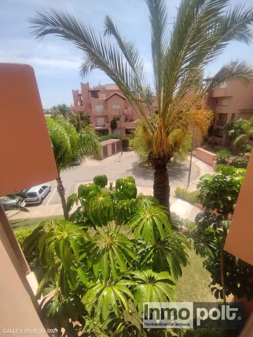 Vista exterior de Pis en venda en Torre-Pacheco amb Aire condicionat, Jardí privat i Terrassa