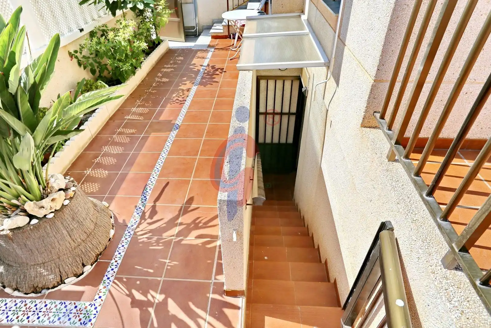 Vista exterior de Planta baixa en venda en Guardamar del Segura amb Aire condicionat, Calefacció i Terrassa