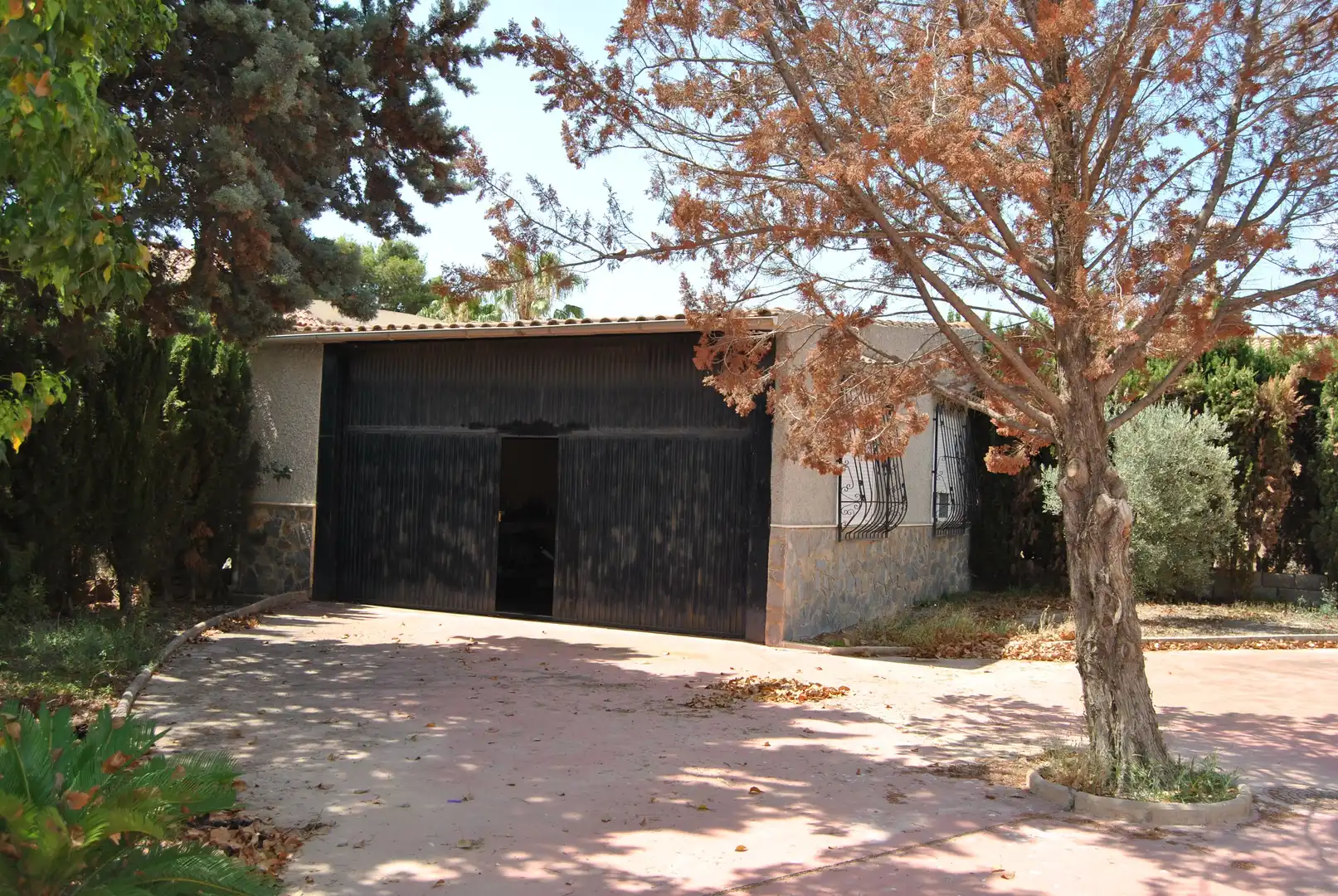Vista exterior de Casa o chalet en venta en San Vicente del Raspeig / Sant Vicent del Raspeig con Aire acondicionado, Jardín privado y Piscina