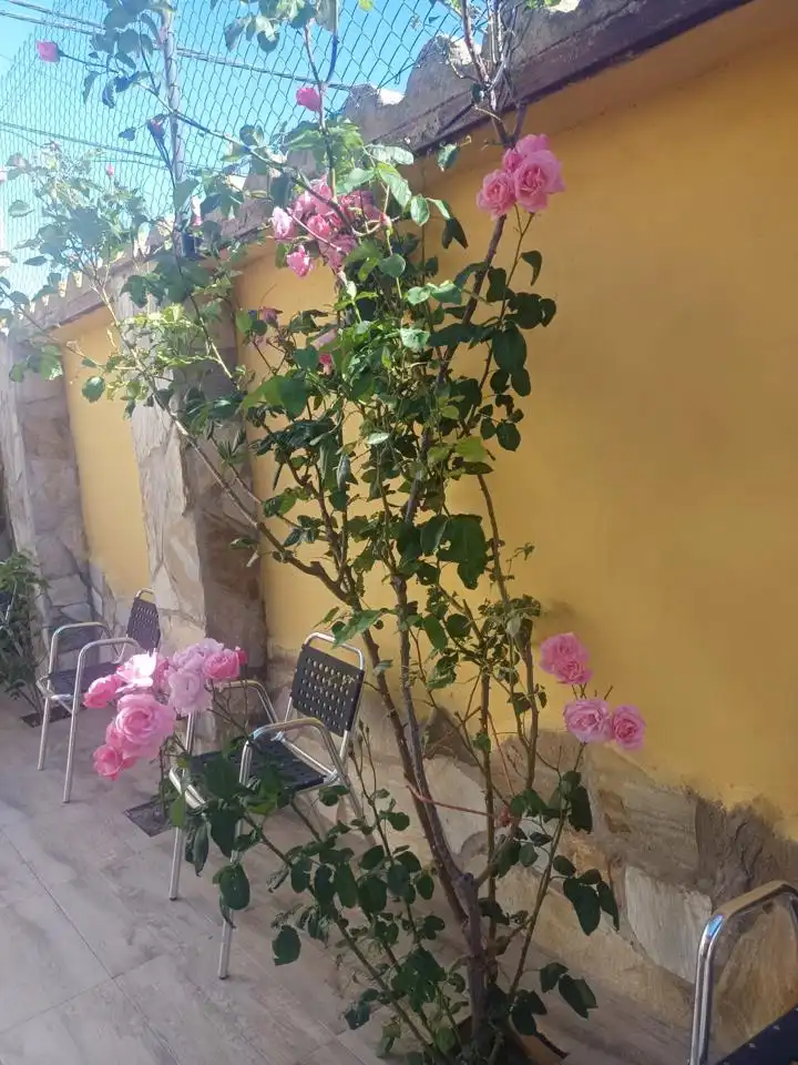 Terrasse von Residential zum Verkauf in Luceni