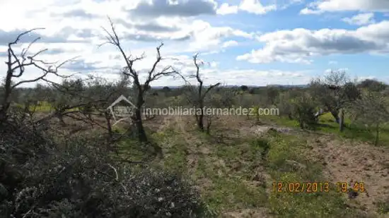 Terreni e lotti in vendita a Arroyo de la Luz, imagen 8