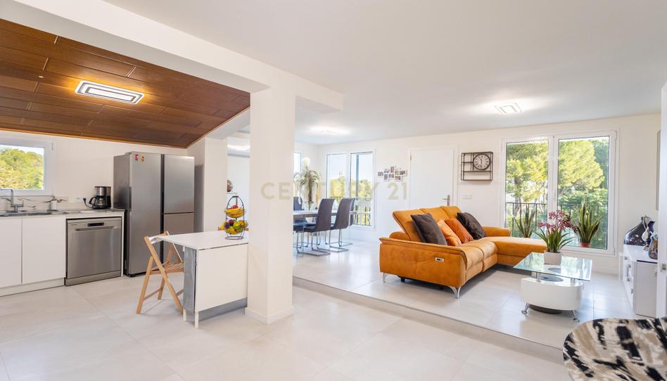 Photo 1 of House or chalet for sale in Reines, 5, El Vedat - Santa Apolonia, Valencia