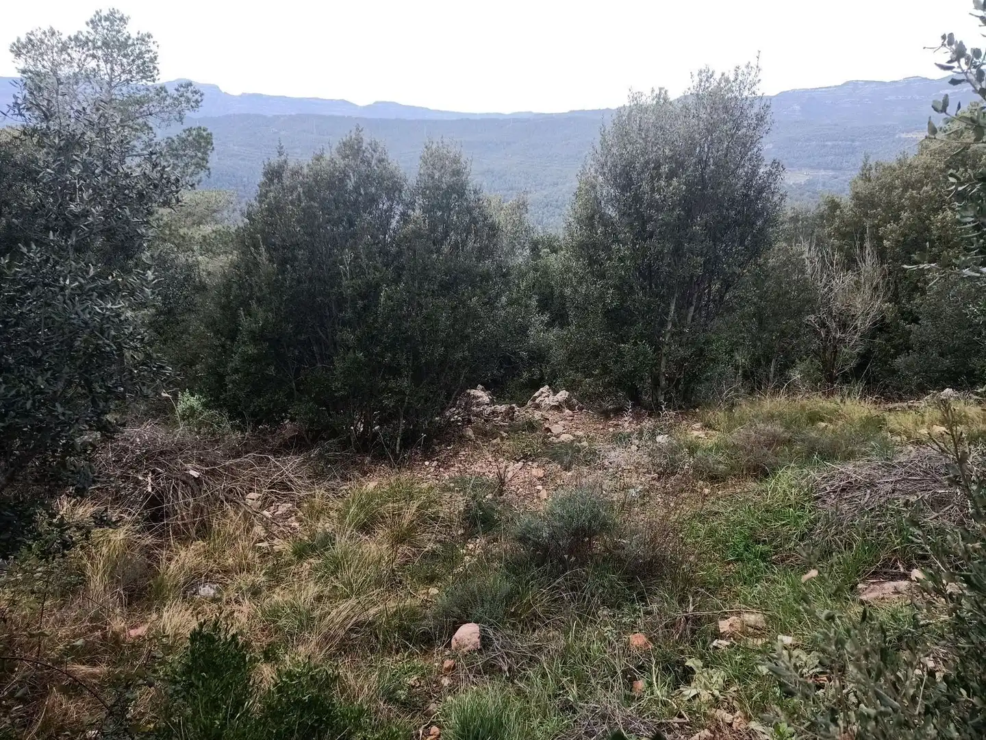 Terrenos y solares en venta en de l'espigol 12, imagen 5