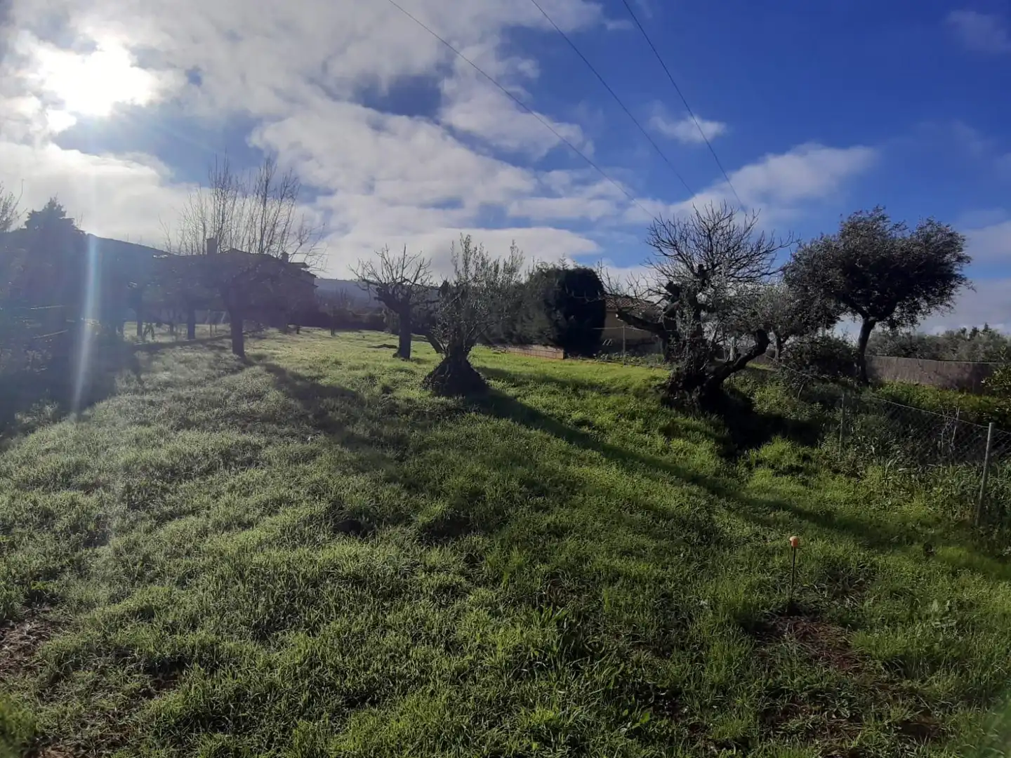 Terreni e lotti in vendita a Cañaveral, imagen 5