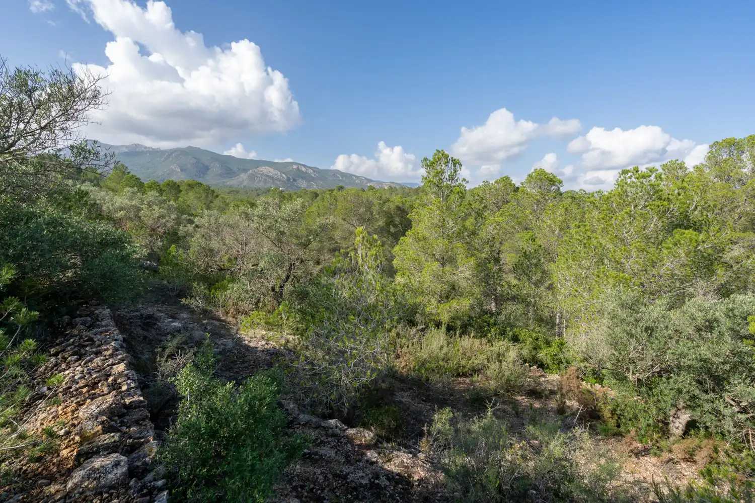 Terrain rustique à vendre à C-12 30, imagen 6