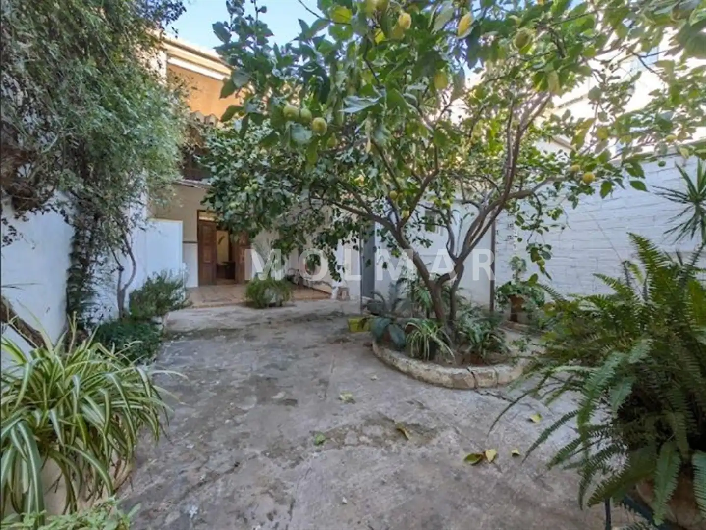 Casa amb jardí en venda a Avinguda Reis Catòlics, imagen 38