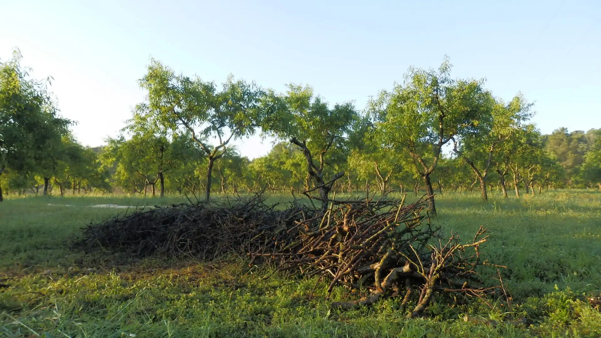 Terreno rustico in vendita a Miravet, imagen 11