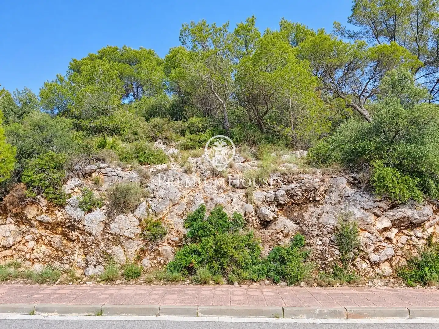 Residential land for sale in Mas Alba, imagen 2