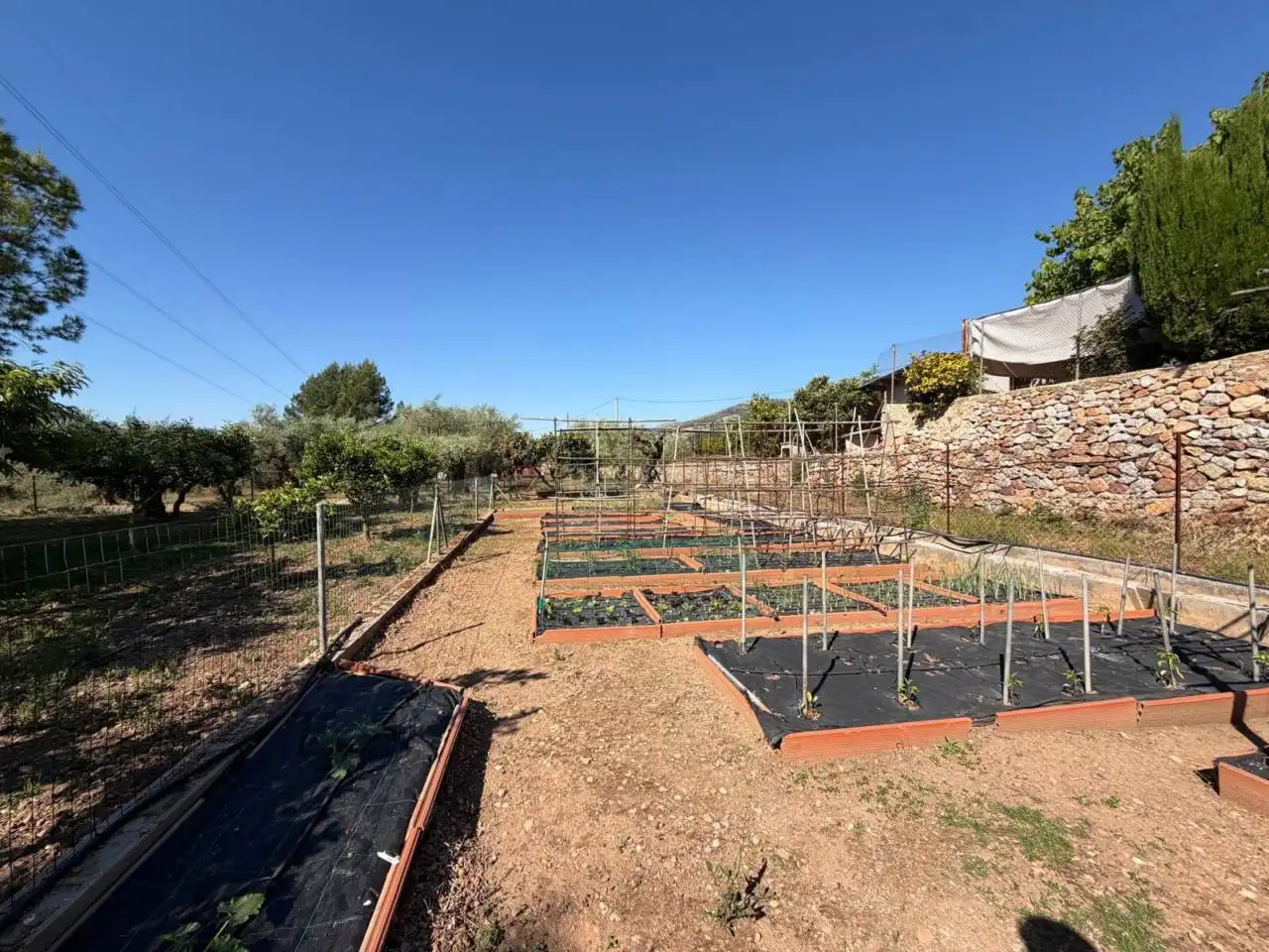 Chalet con piscina en venta en Camino Assut, imagen 49