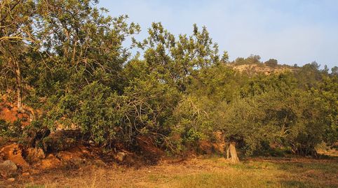 Granja en venta en Xerta, imagen 4